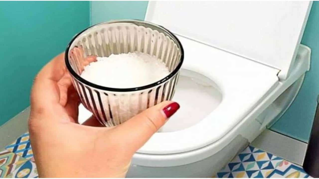 ELIMINAR o cheiro de urina no banheiro