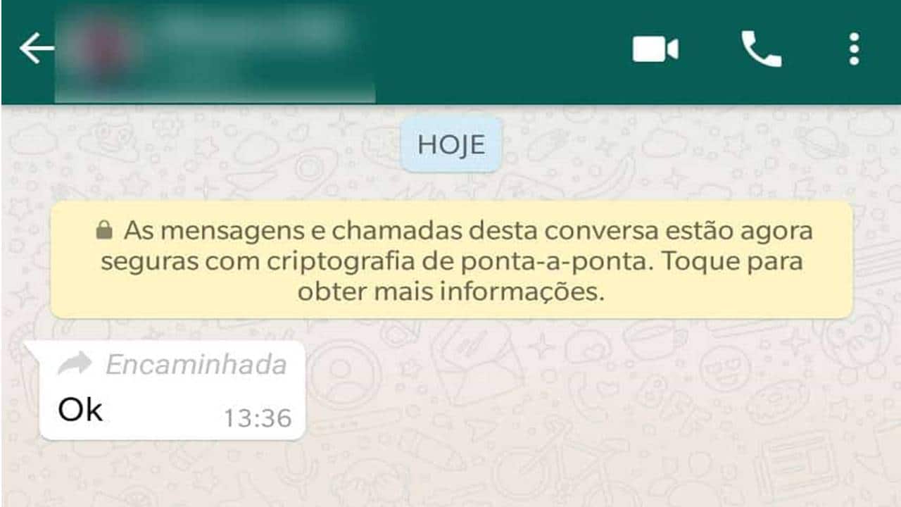 WhatsApp: como evitar que o rótulo “encaminhada” apareça?