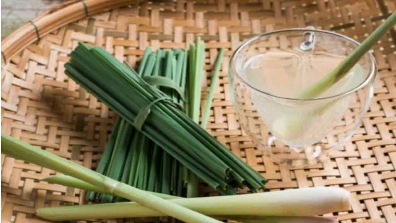 7 poderosas razões para beber chá de capim-limão todos os dias