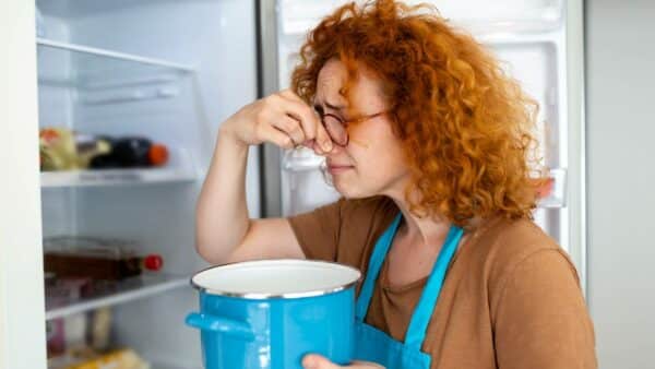 7 remédios eficazes para remover os maus odores da geladeira