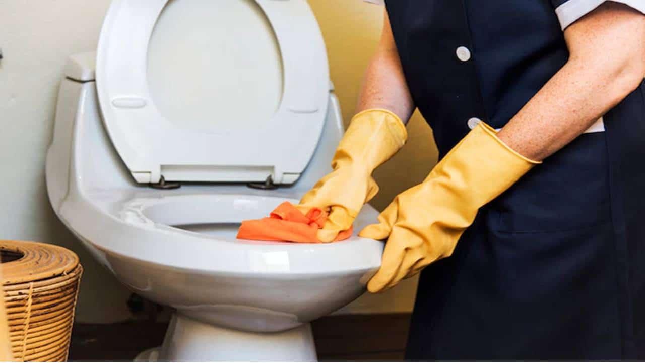Este segredo de limpeza será o seu melhor aliado para remover calcário do vaso sanitário