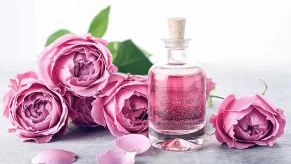 Perfume sua casa com rosas com estes 3 truques mágicos