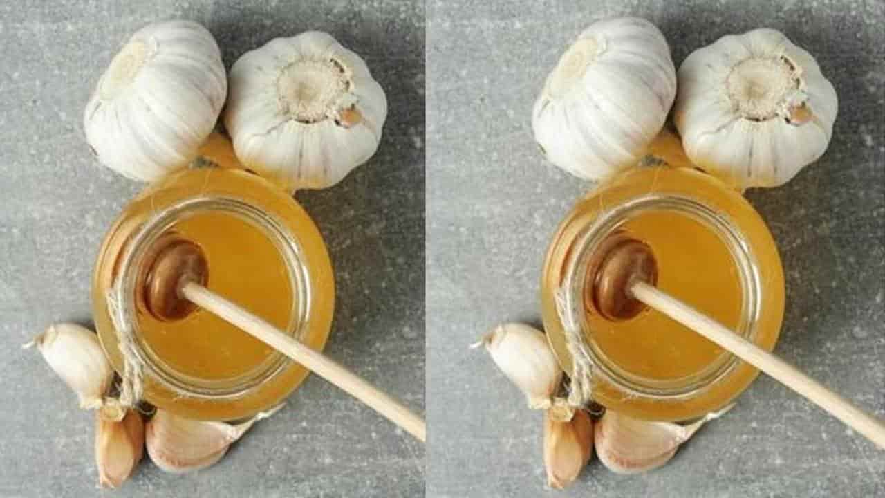 Isso é o que acontece no seu corpo quando você consome alho e mel com o estômago vazio