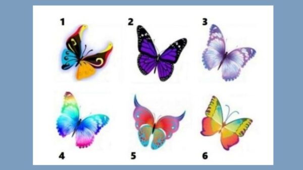 Choose a butterfly and find out what it reveals about your personality