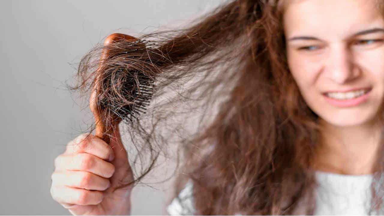 3 tratamentos naturais para cabelos que ficam muito embaraçados