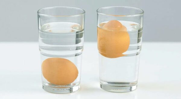 Antes de fritar os ovos é importante colocar em um copo de água