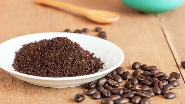 2 ingredientes do seu café da manhã que você pode aproveitar para cultivar suas plantas de interior