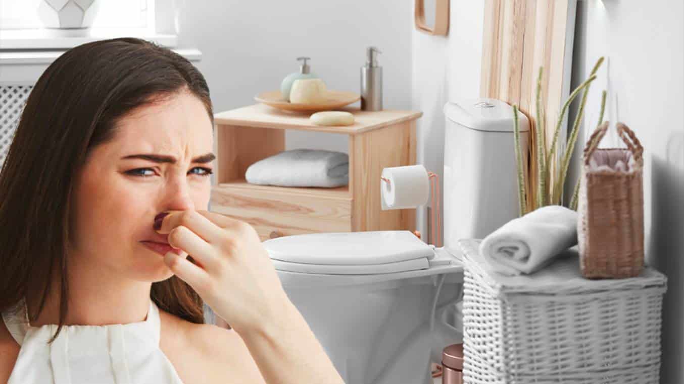 Fragrância caseira potente e barata para você se livrar dos maus odores do banheiro