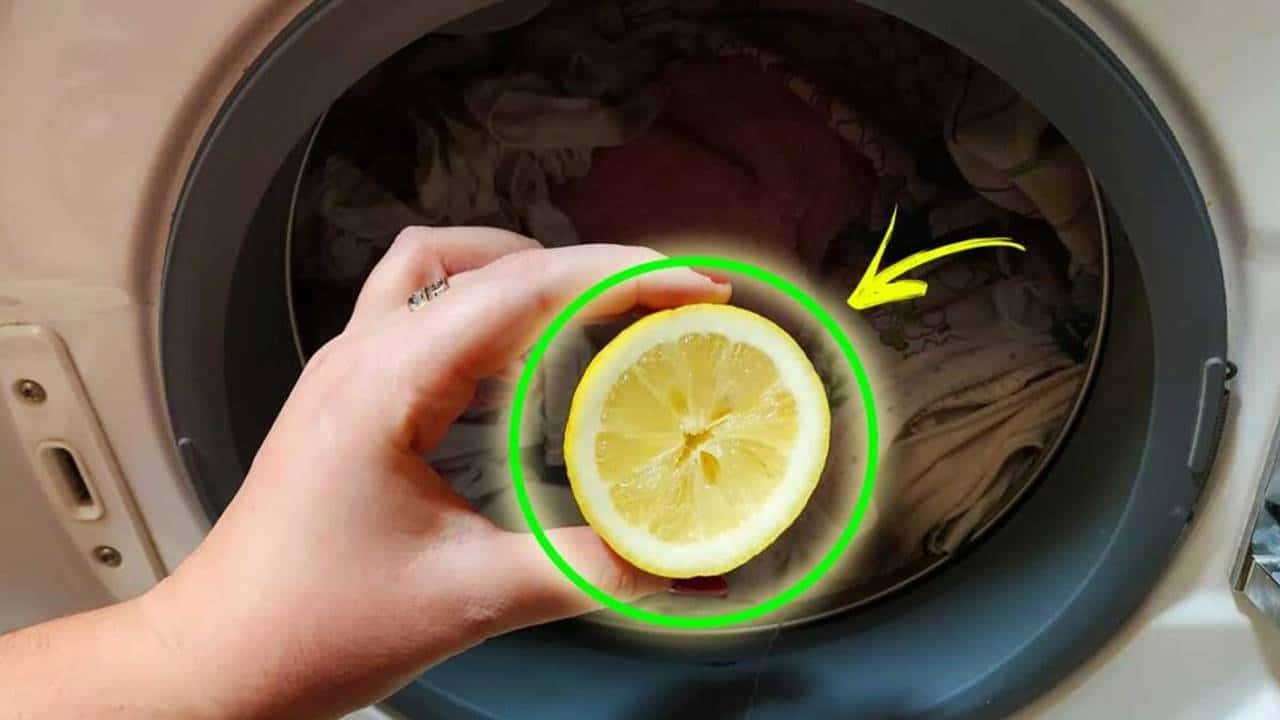 Você já sabe o que acontece se você espremer o limão na máquina de lavar?