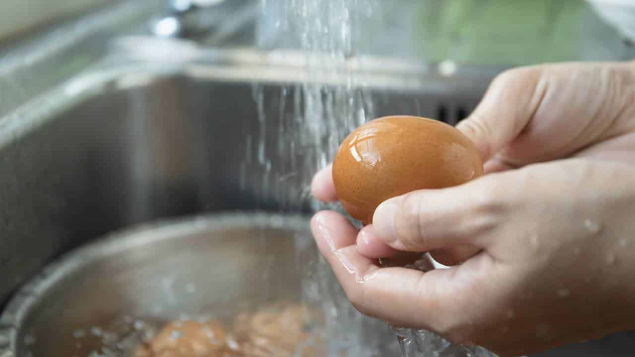 Devo lavar os ovos antes 4 alimentos que você NUNCA deve lavar antes de consumi-losde os cozinhar? Descubra a verdade