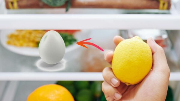 Por que você NUNCA deve guardar Ovo e Limão juntos na geladeira?