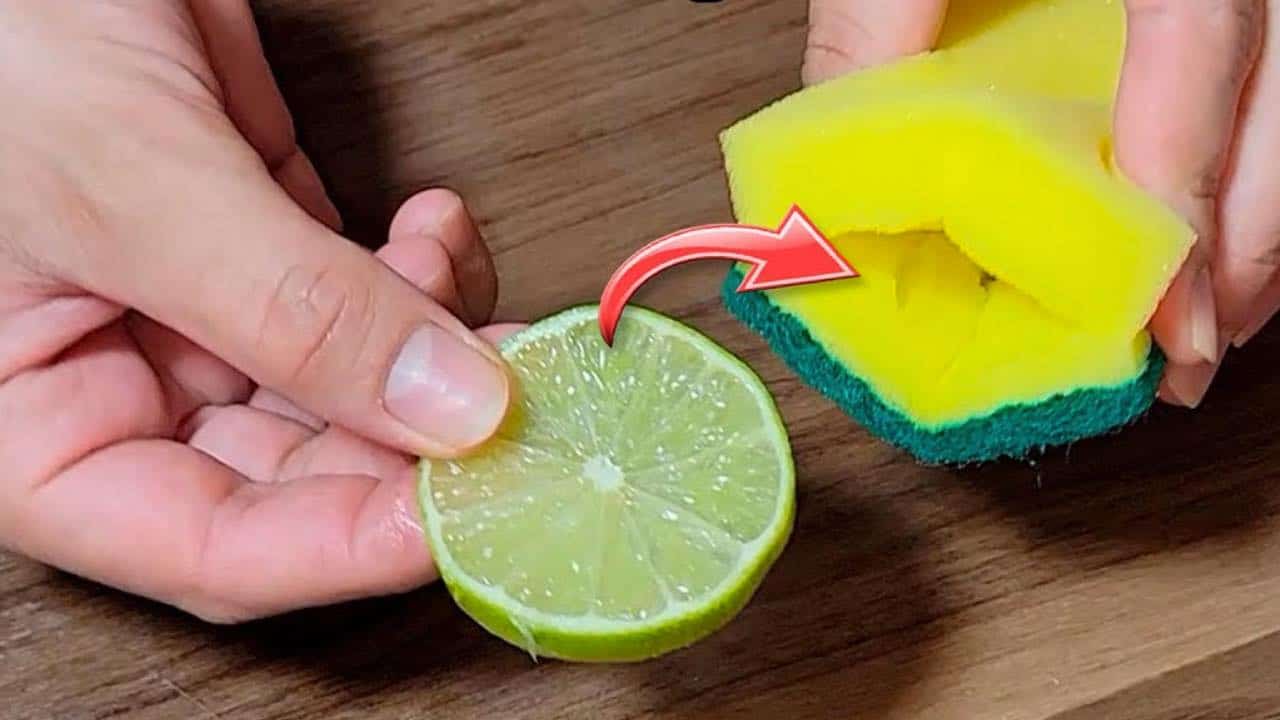 Surpreenda-se colocando uma rodela de limão dentro da esponja de lavar prato