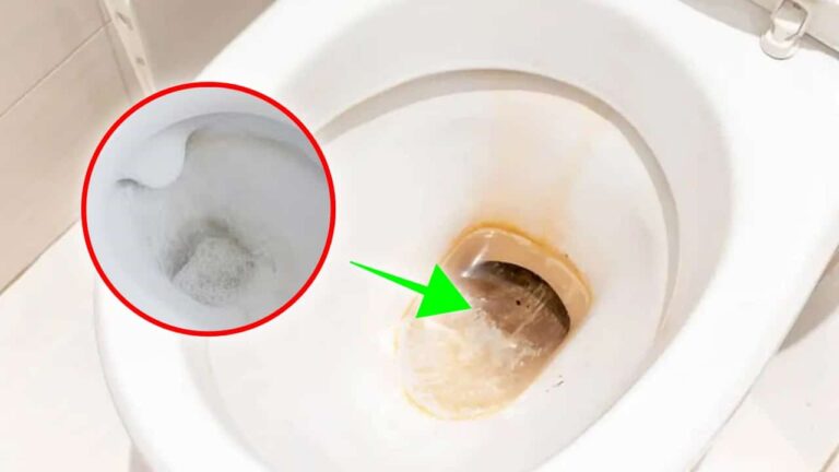 limpar o vaso sanitário e piso