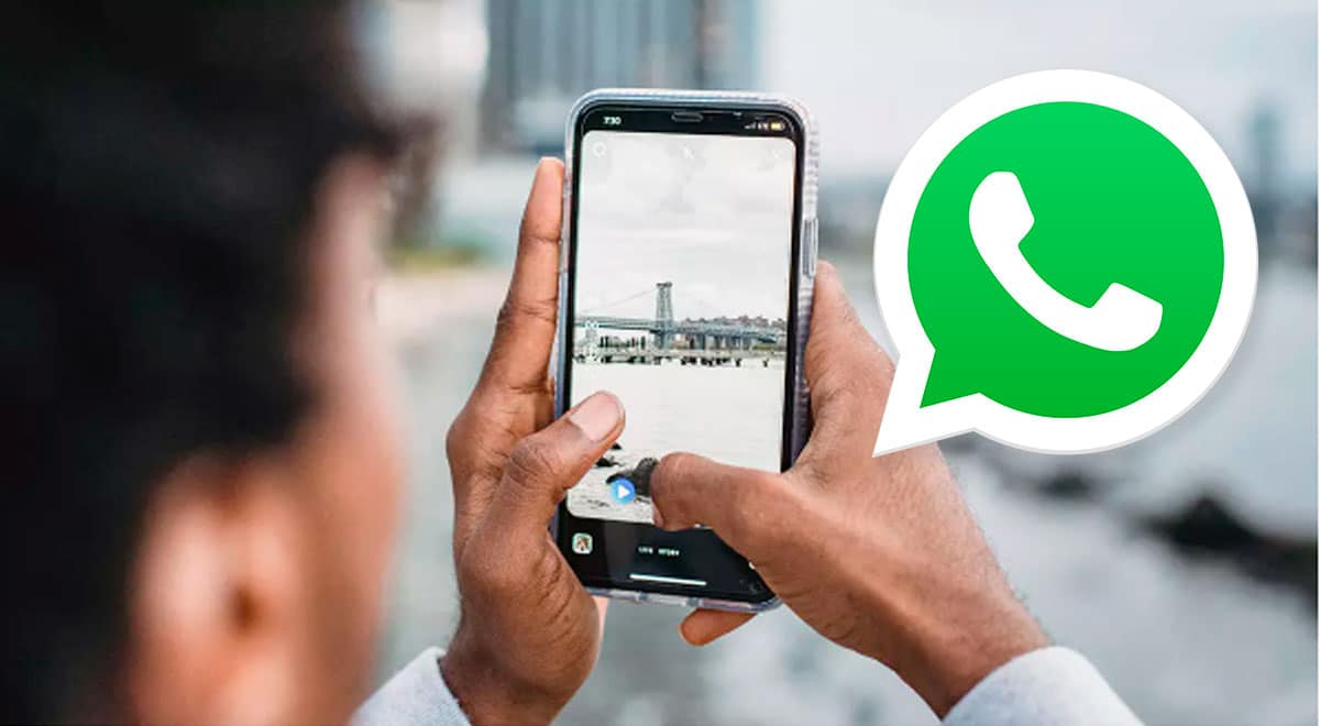 WhatsApp: o que é o novo "modo câmera" e quais são os passos para ativá-lo?