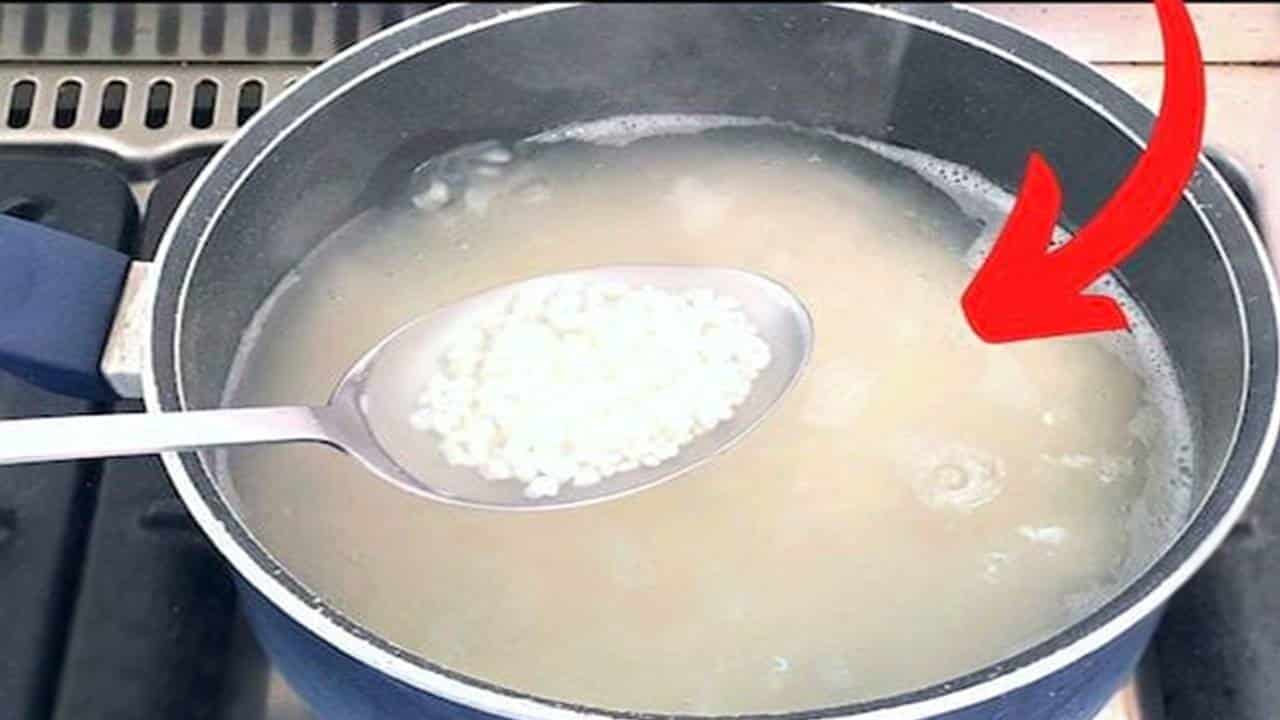 Aqui está o segredo: Aprenda a preparar um arroz light que não engorda