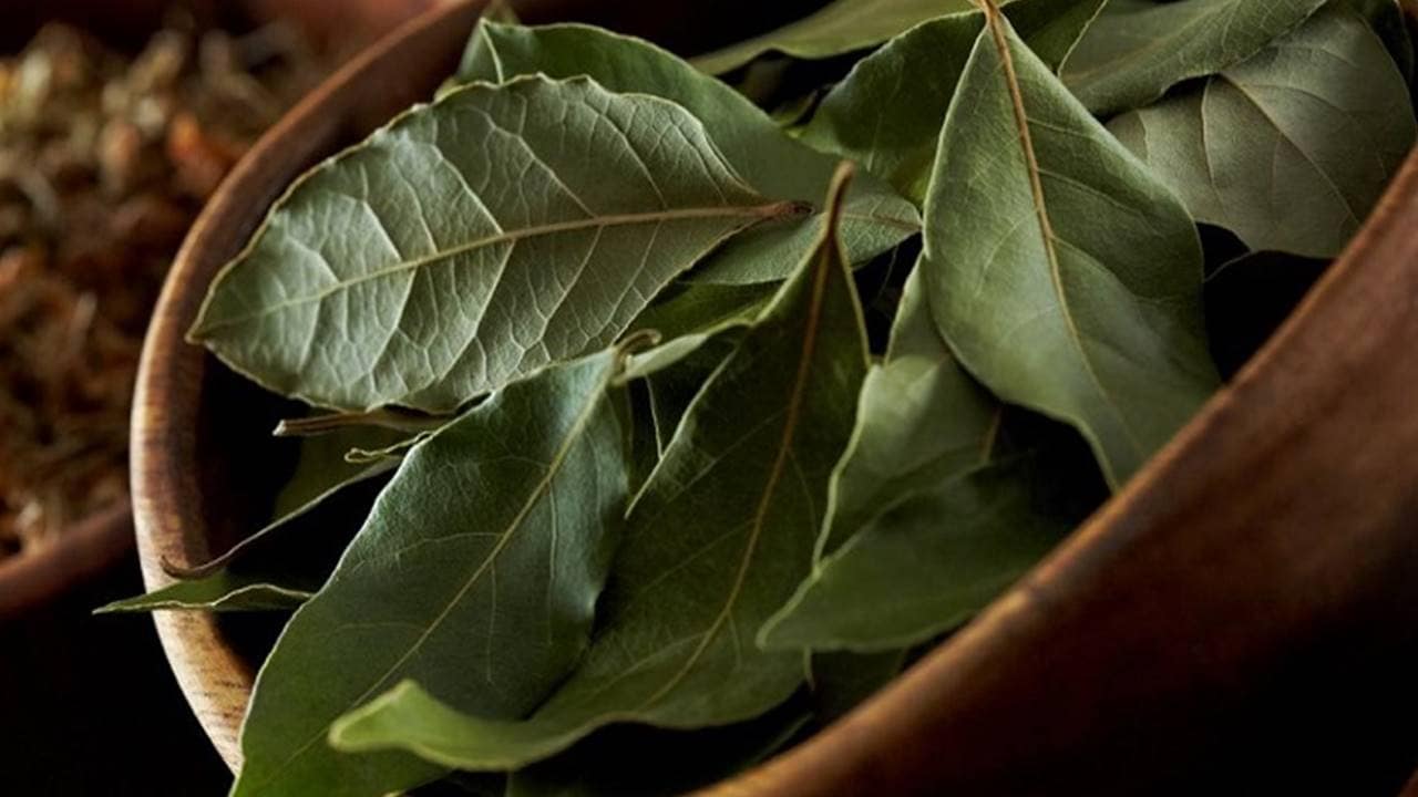 O segredo das folhas de louro para eliminar o cheiro de fritura