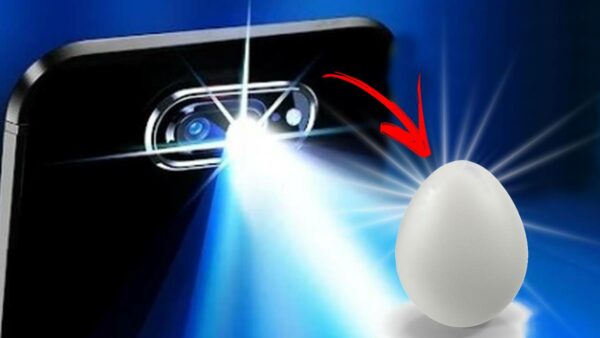 Por que você deve colocar o ovo na lanterna do celular antes de comer?