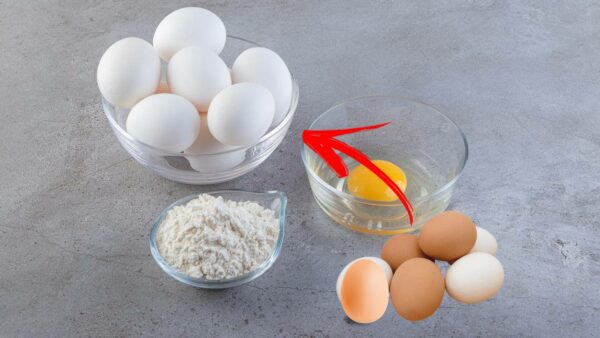 diferença entre ovos brancos e marrons
