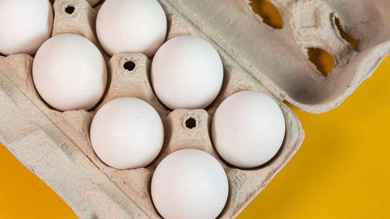 Por quanto tempo você pode manter ovos na geladeira? Esse é o tempo ideal