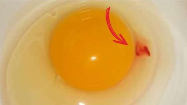 Não coma: Se você encontrar dentro do ovo