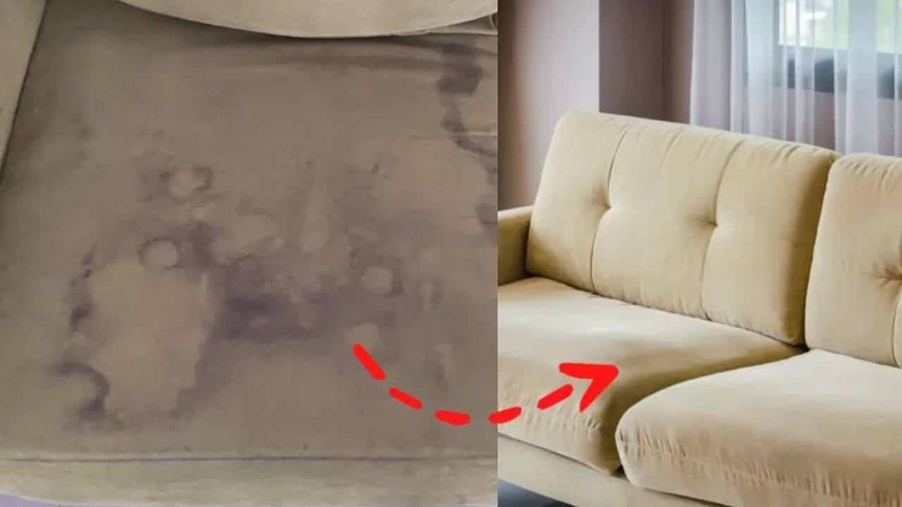 R$ 2 reais: A mistura definitiva e barata para limpar o sofá e deixá-lo como novo
