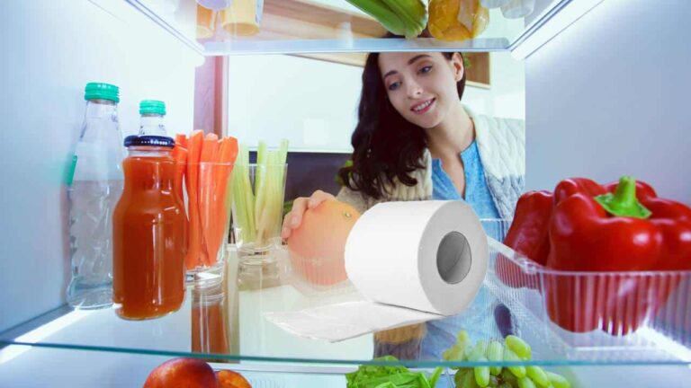 papel higiênico na geladeira alimentos