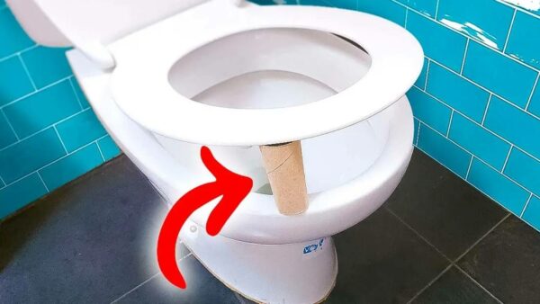 O rolo de papel higiênico vazio embaixo do assento sanitário
