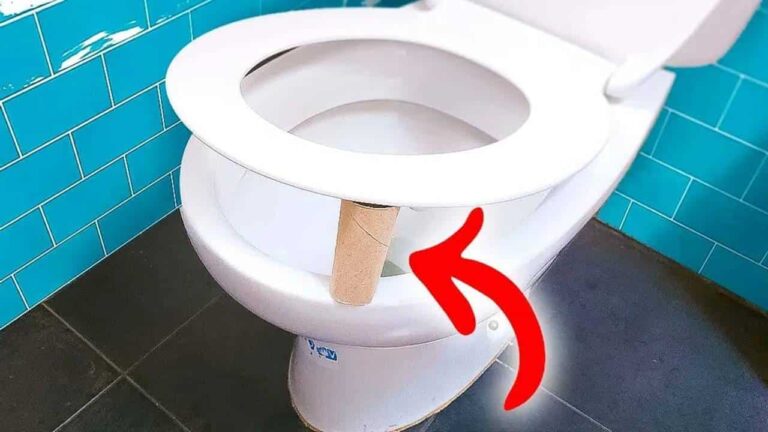 Todo mundo está falando sobre o ROLO DE PAPEL embaixo da tampa do vaso sanitário