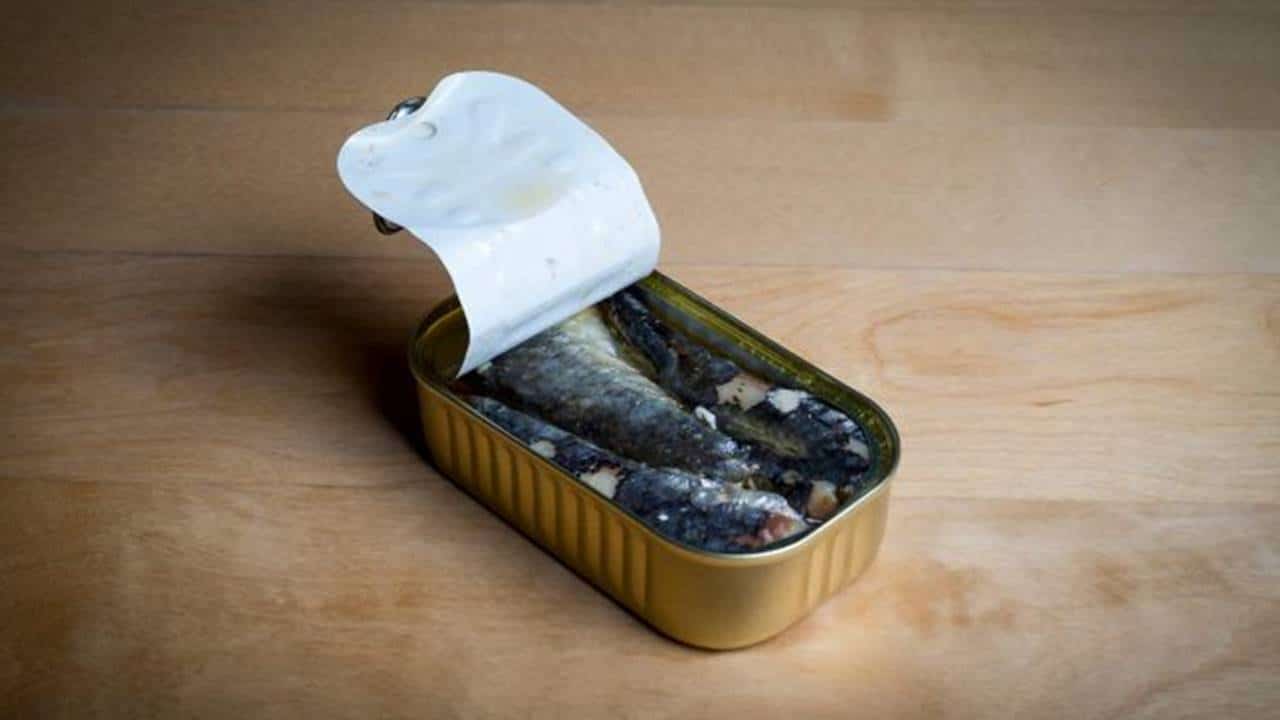 3 receitas rápidas com sardinha em conserva que todo mundo vai adorar