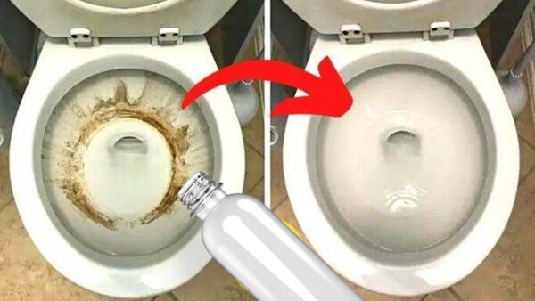 A Incrível Mistura para limpar o Fundo do Vaso Sanitário e ainda deixá-lo cheiroso