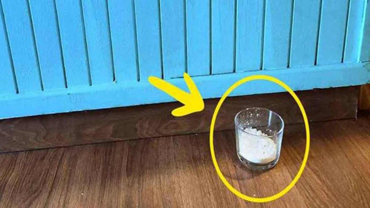 copo de sal na agua de limpar o piso de sua casa