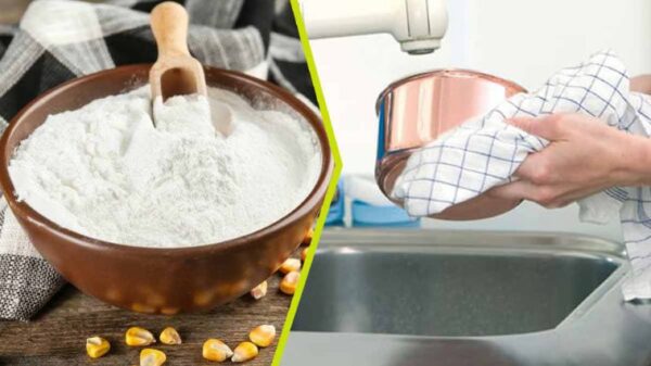 7 usos surpreendentes da Maizena na limpeza da casa que talvez você nem saiba