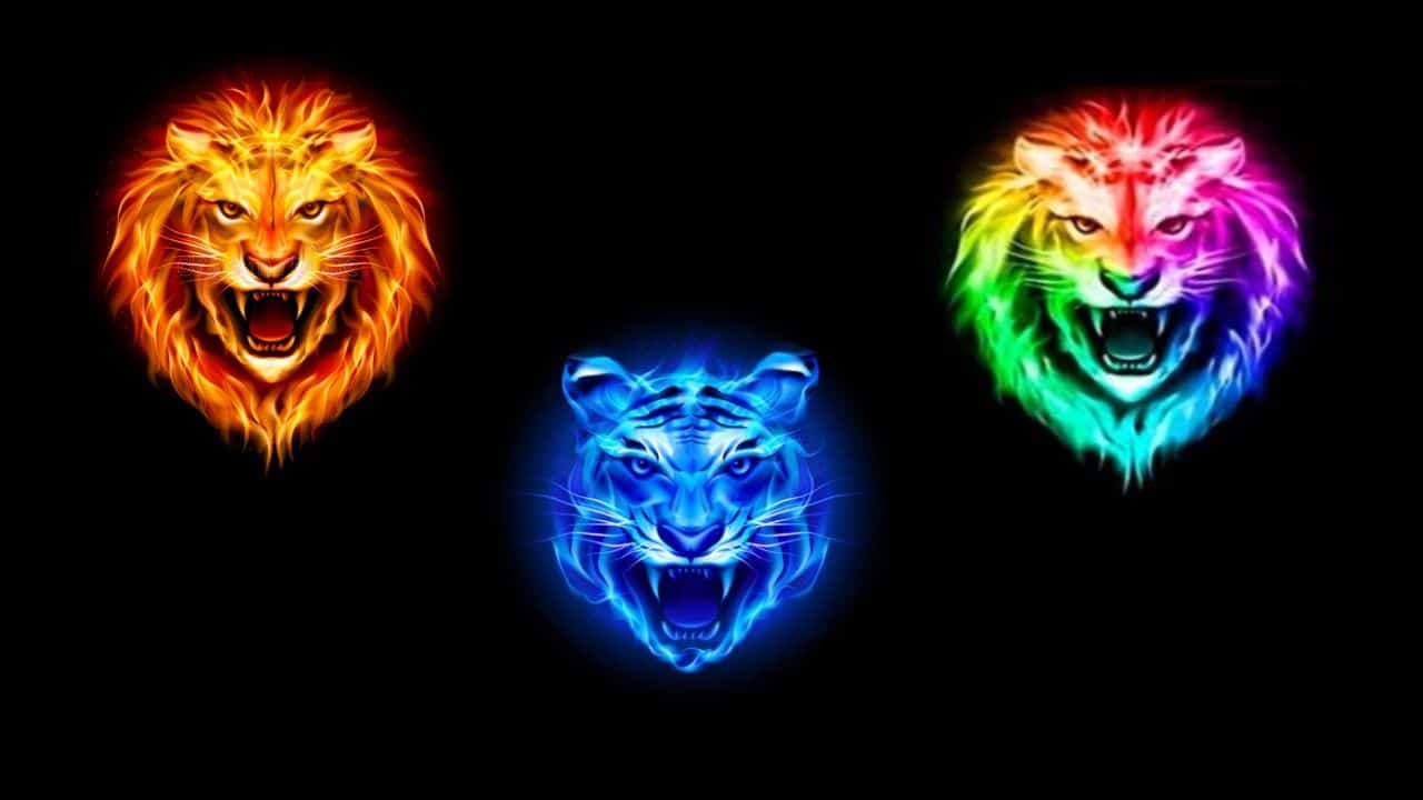 Escolha um leão e o teste de personalidade te mostrará como ser corajoso