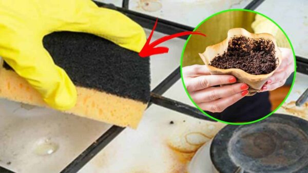 TRUQUE da borra de café e limão para limpar as grades do forno incrustadas