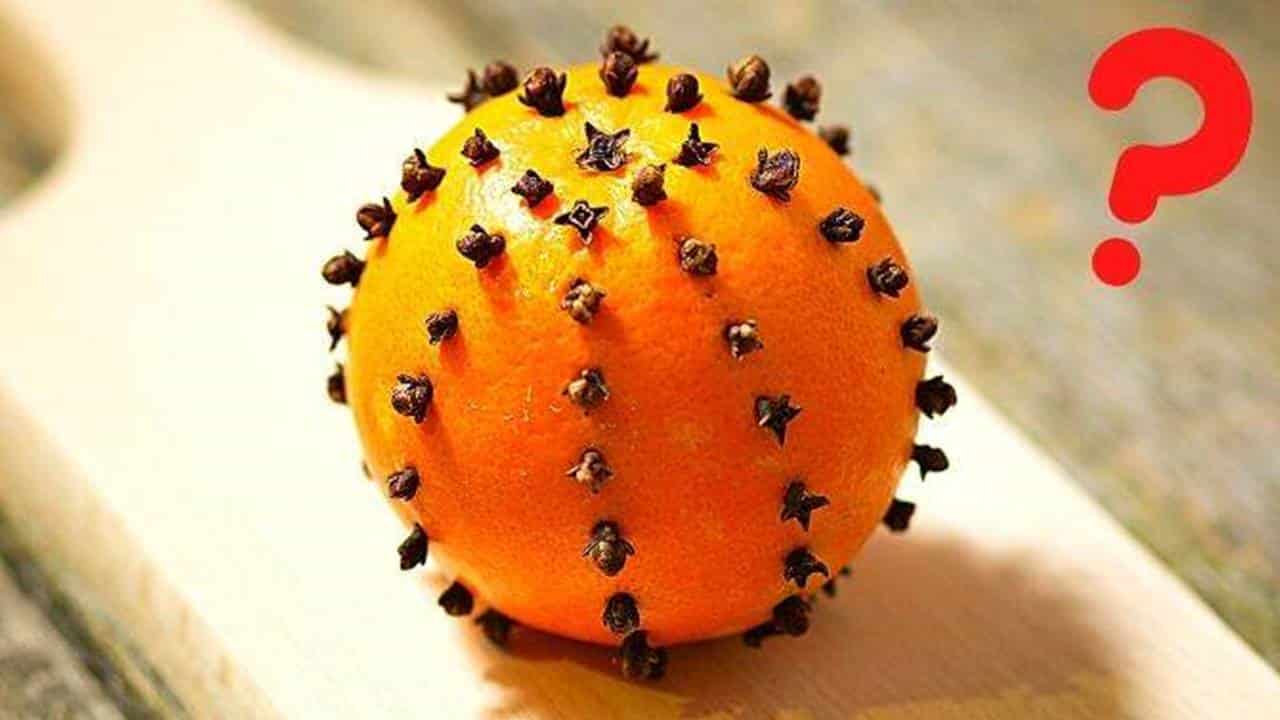 Coloque cravos em uma laranja: isso resolve um problema comum em casa