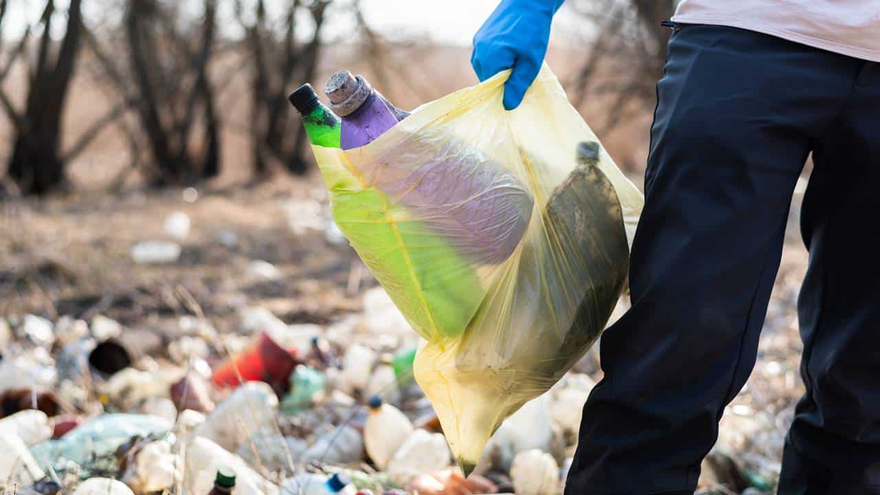 Pró-Catador Governo recria e aprimora decreto da reciclagem