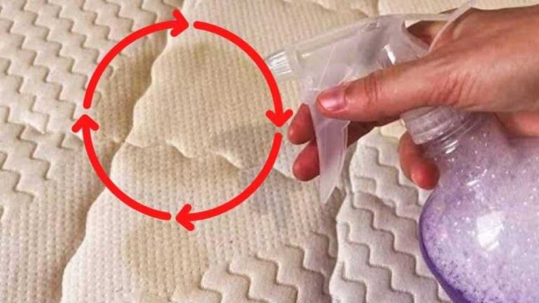 ingredientes o colchão ficará novo de novo