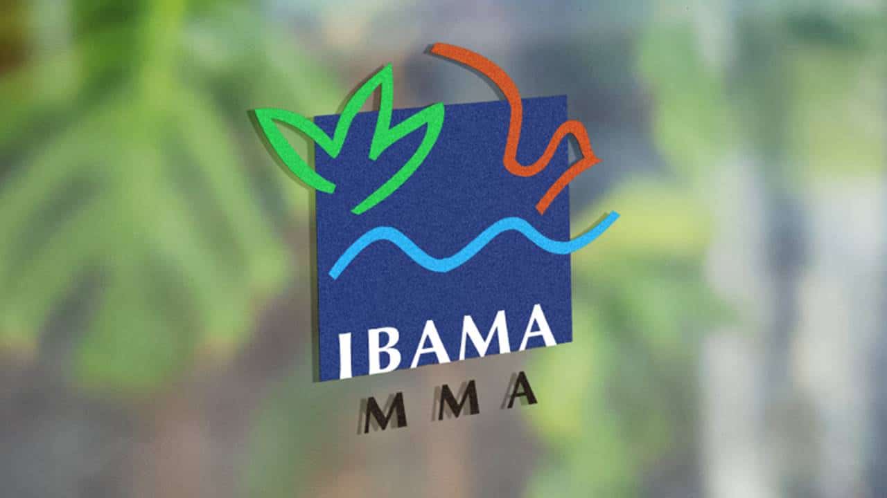 novo concurso IBAMA