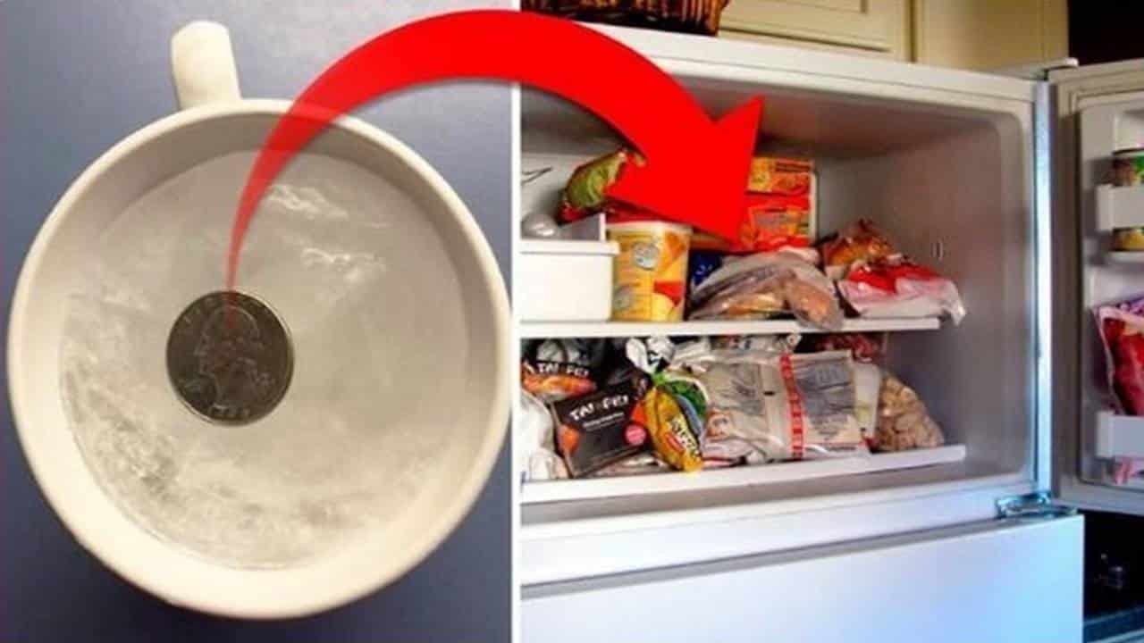 Por que você deve colocar uma moeda na geladeira se for viajar?