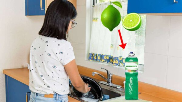 5 ingredientes aumentar sua potência detergente