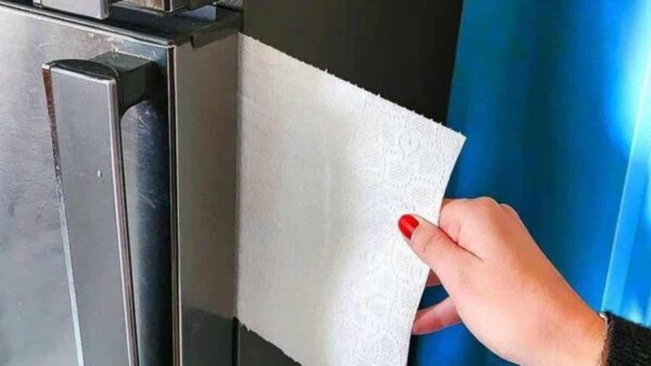 O truque do papel toalha para economizar energia com sua geladeira: só os espertos sabem