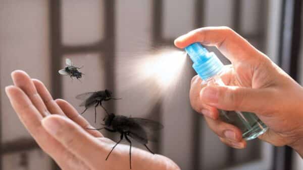 Novo método promete manter as moscas longe de sua casa