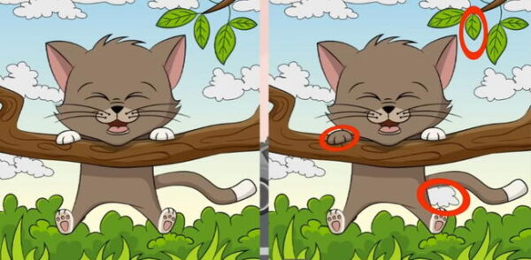 Você consegue encontrar as 3 diferenças no gatinho? 99% falharam neste desafio visual