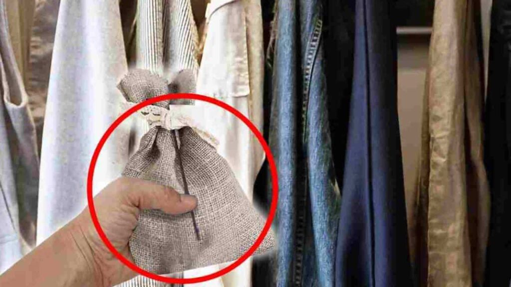 saco com sal grosso no guarda-roupa?