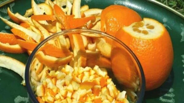 Aprenda a fazer um desengordurante com cascas de laranja