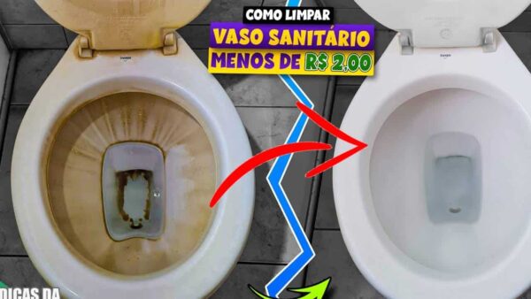 Esse método não falha: seu vaso sanitário vai ficar novo de novo