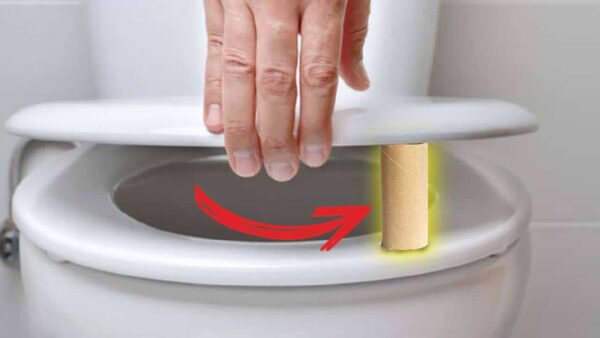 Por que você tem que deixar o rolo de papel higiênico embaixo do assento do vaso sanitário?