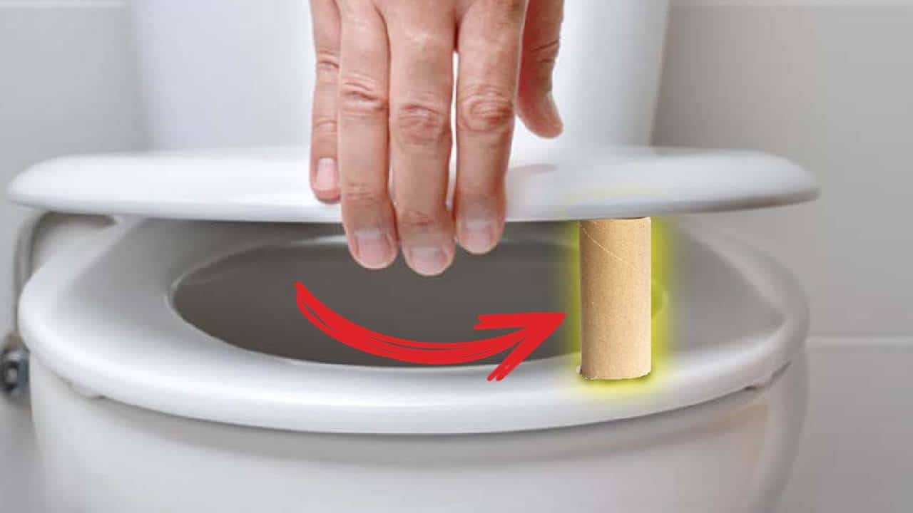 O mistério do rolo de papel higiênico vazio embaixo do assento do vaso sanitário