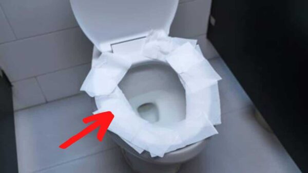 papel higiênico no vaso sanitário Banheiro