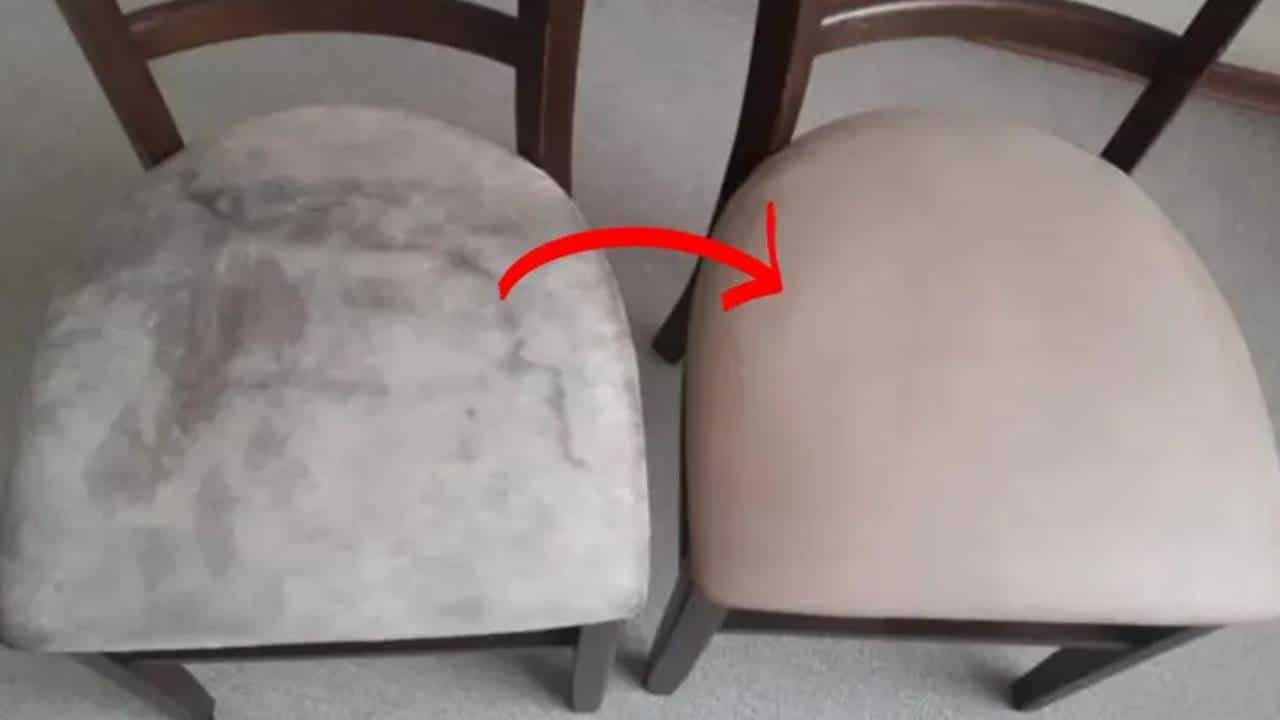 Confira aqui como limpar cadeiras de tecido sem molhá-las